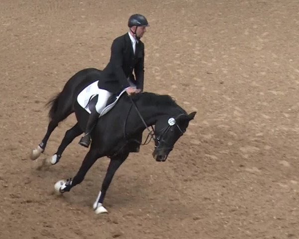 Reitturnier Kreuth 2017