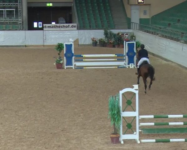 Reitturnier Kreuth 2017
