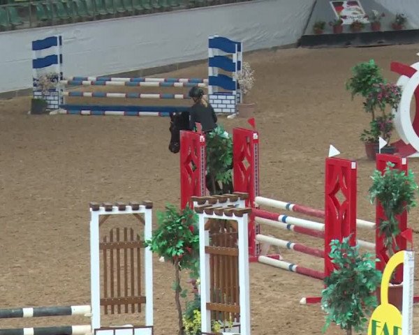 Reitturnier Kreuth 2017