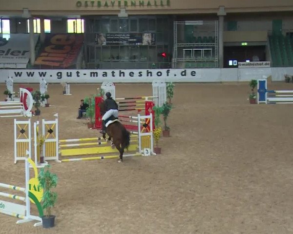 Reitturnier Kreuth 2017