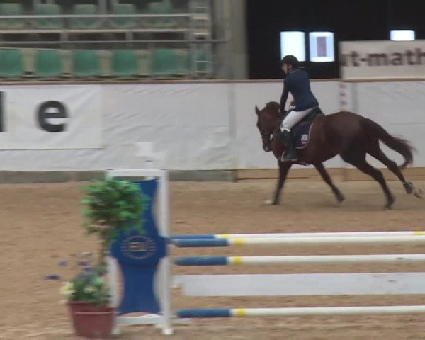 Reitturnier Kreuth 2017