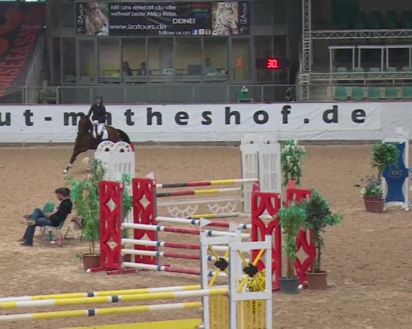 Reitturnier Kreuth 2017