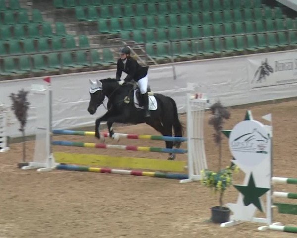 Reitturnier Kreuth 2017