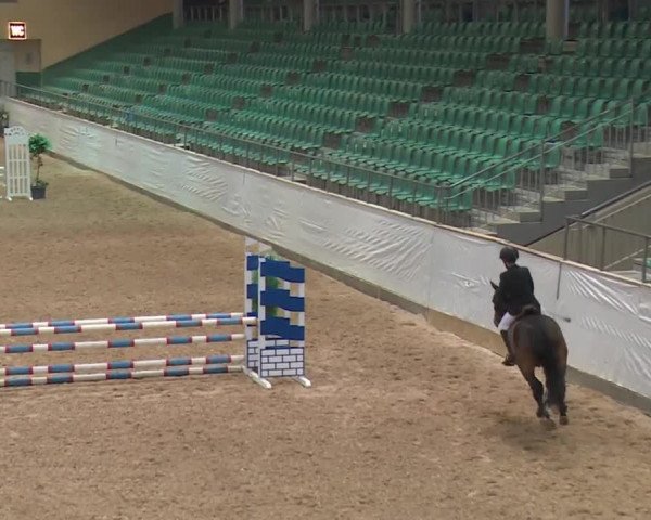Reitturnier Kreuth 2017