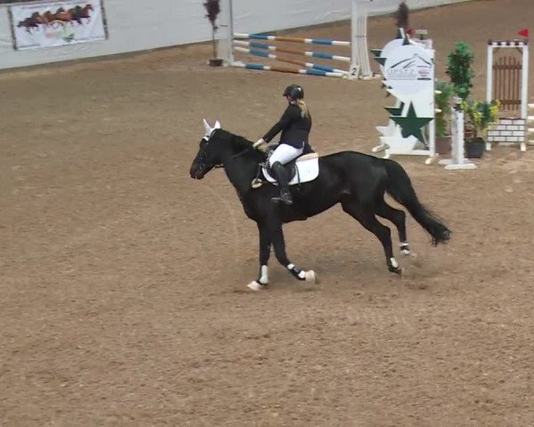 Reitturnier Kreuth 2017