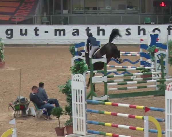 Reitturnier Kreuth 2017