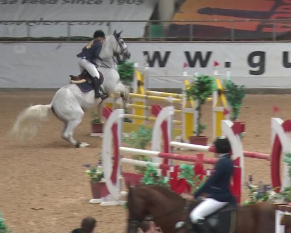 Reitturnier Kreuth 2017