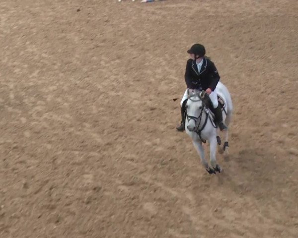 Reitturnier Kreuth 2017