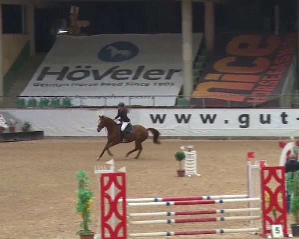 Reitturnier Kreuth 2017