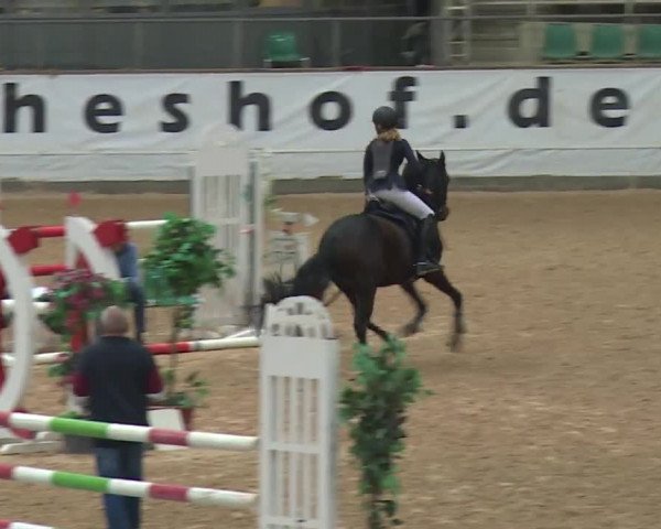 Reitturnier Kreuth 2017
