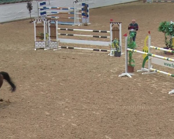 Reitturnier Kreuth 2017