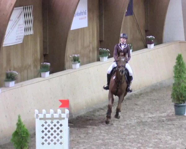 Reitturnier Hövelhof 2017