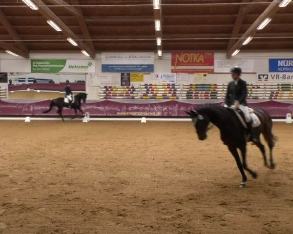 Reitturnier Eicherloh RH Laurent 2017