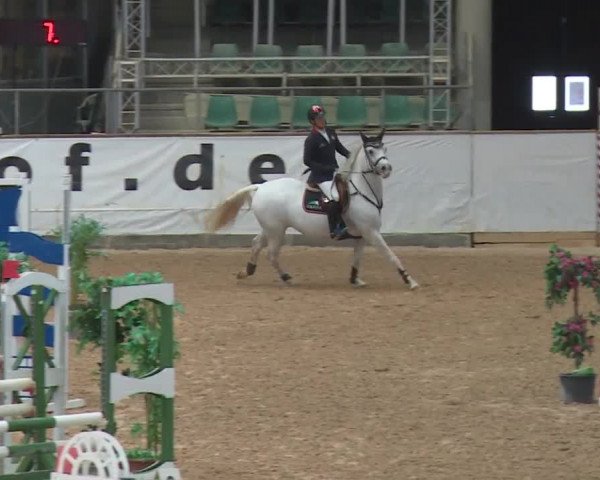 Reitturnier Kreuth 2017