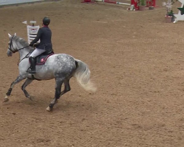 Reitturnier Kreuth 2017