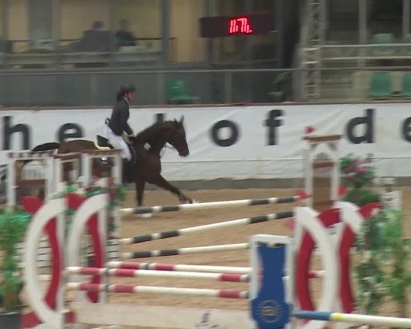 Reitturnier Kreuth 2017