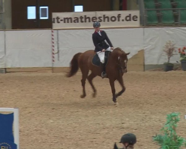 Reitturnier Kreuth 2017