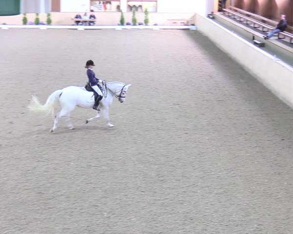 Reitturnier Hövelhof 2017