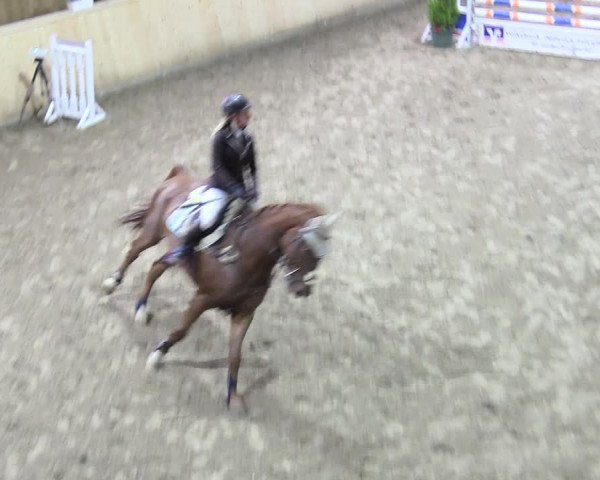 Reitturnier Hövelhof 2017