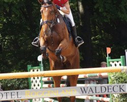 jumper Fürstina (Hessian Warmblood, 2005, from Fighting Alpha)