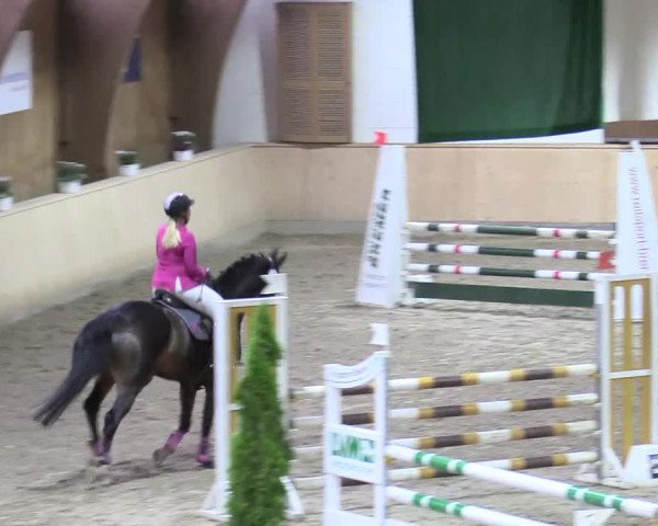 Reitturnier Hövelhof 2017
