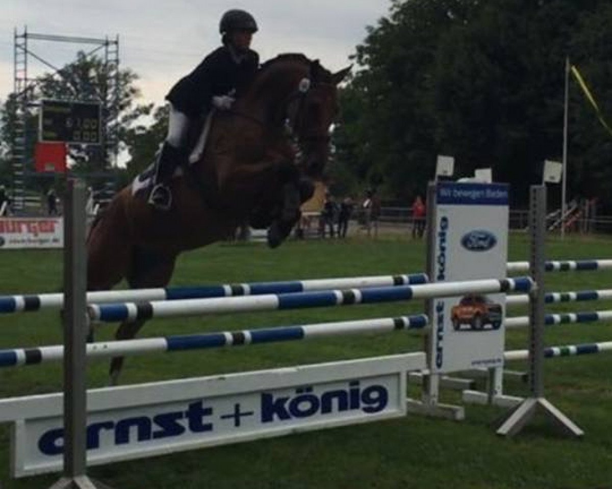jumper Lemon tree 2 (German Sport Horse, 2011, from Lipsius)
