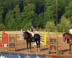 jumper Endever 2 (Hanoverian, 2006, from Escudo I)