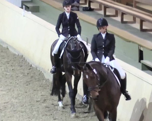 Reitturnier Hövelhof 2017