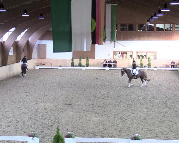 Reitturnier Hövelhof 2017