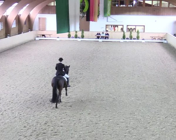 Reitturnier Hövelhof 2017