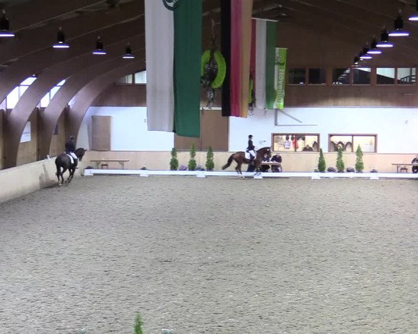 Reitturnier Hövelhof 2017