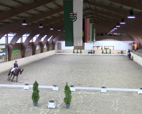 Reitturnier Hövelhof 2017