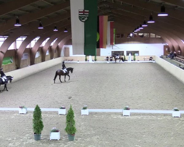 Reitturnier Hövelhof 2017