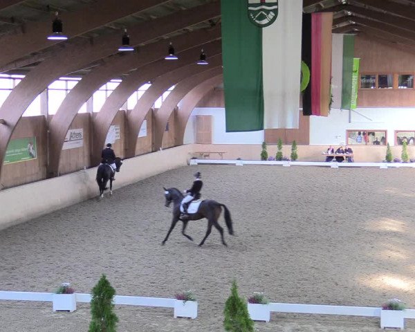Reitturnier Hövelhof 2017