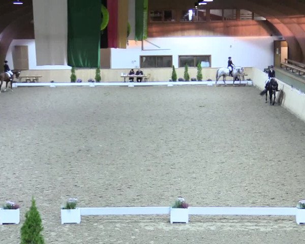 Reitturnier Hövelhof 2017