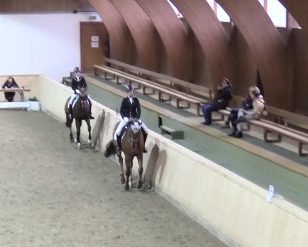 Reitturnier Hövelhof 2017