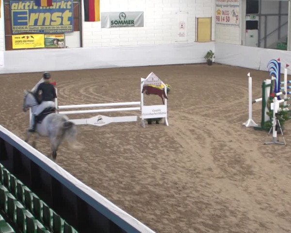 Reitturnier Zweibrücken 2017