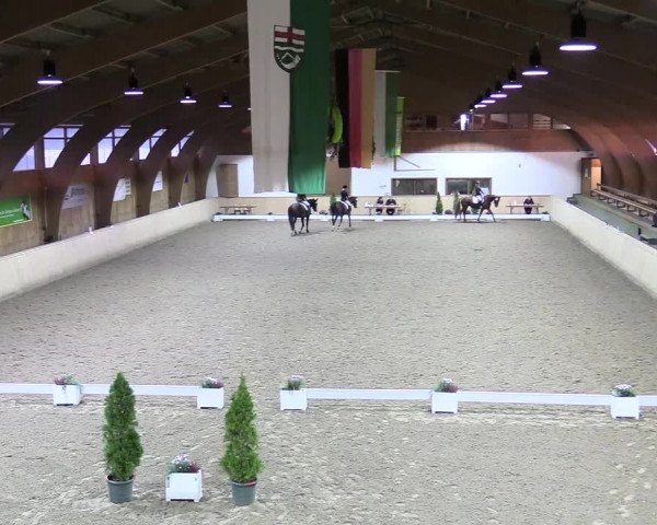 Reitturnier Hövelhof 2017
