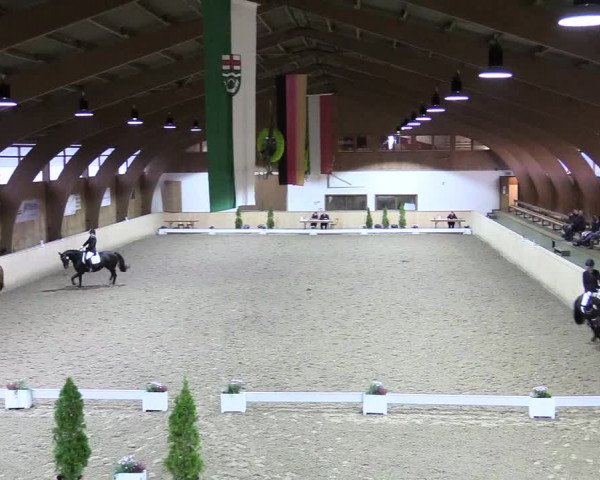 Reitturnier Hövelhof 2017