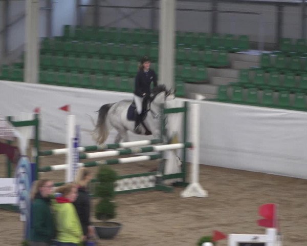Reitturnier Zweibrücken 2017
