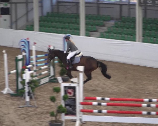 Reitturnier Zweibrücken 2017