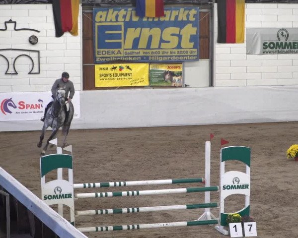 Reitturnier Zweibrücken 2017