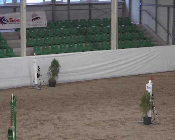 Reitturnier Zweibrücken 2017