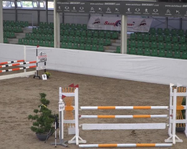 Reitturnier Zweibrücken 2017