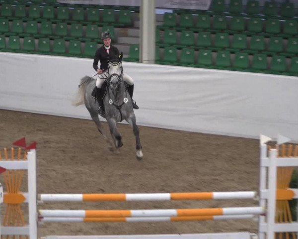 Reitturnier Zweibrücken 2017