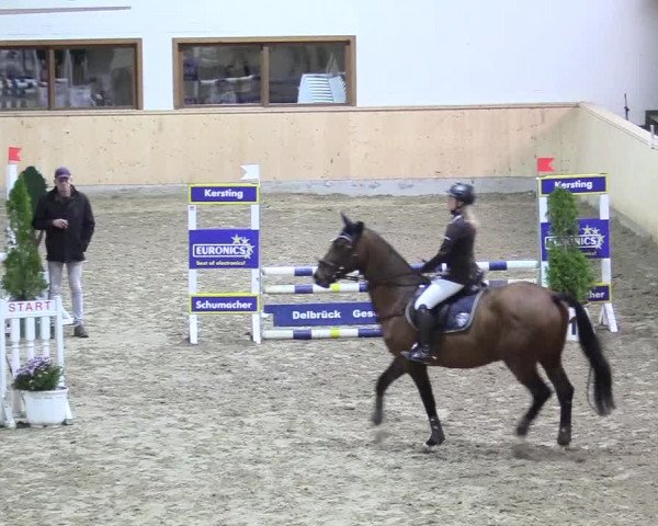 Reitturnier Hövelhof 2017