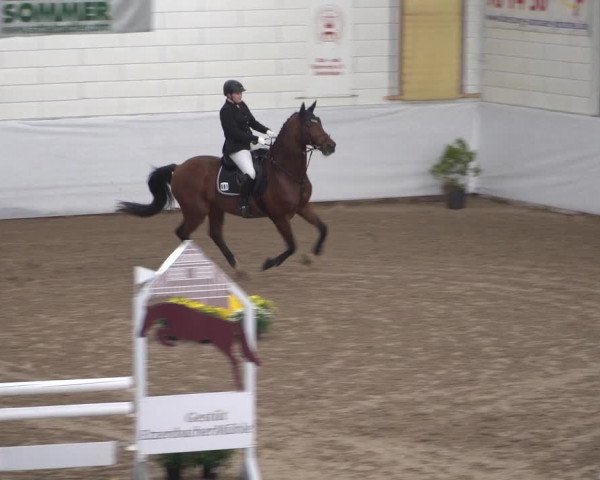 Reitturnier Zweibrücken 2017