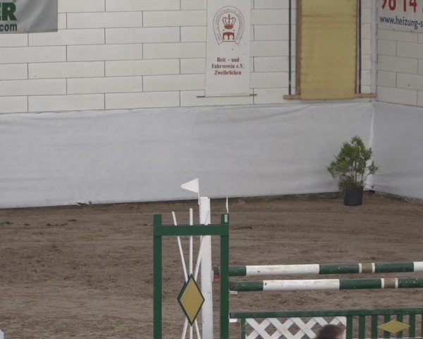 Reitturnier Zweibrücken 2017