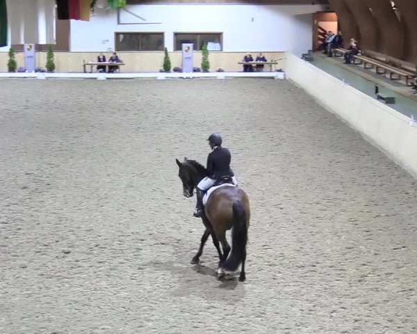 Reitturnier Hövelhof 2017