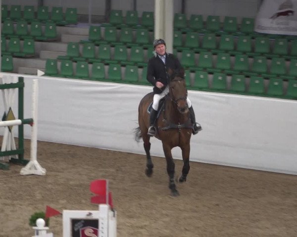 Reitturnier Zweibrücken 2017